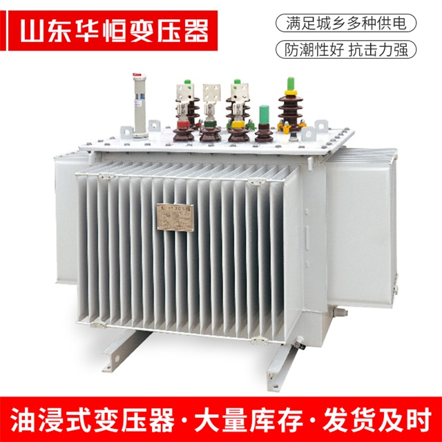 S13-10000/35罗甸罗甸罗甸电力变压器